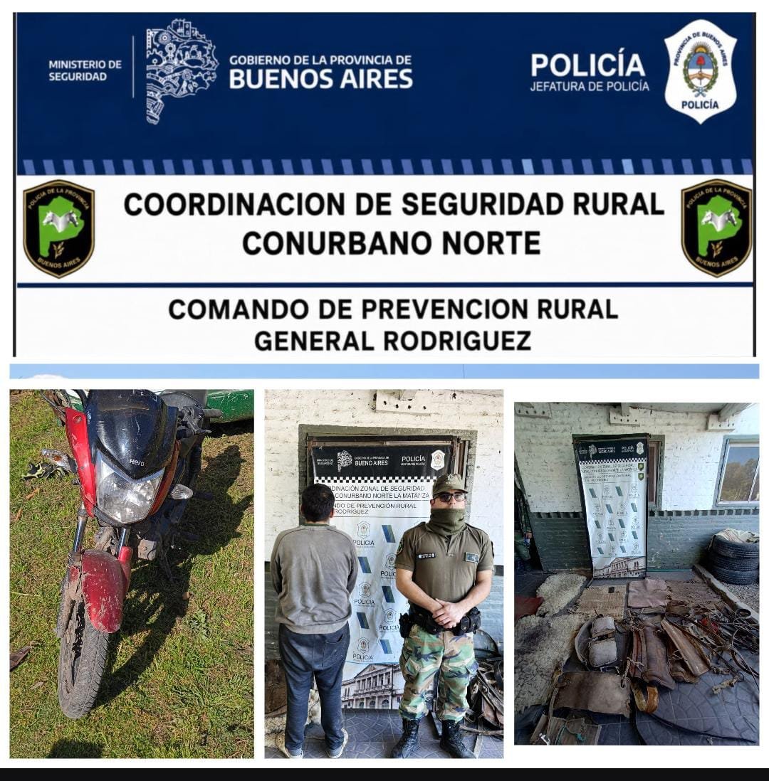 CAYERON TRAS ROBAR TRES CABALLOS: UN DETENIDO. SE RECUPERARON MOTOS ROBADAS